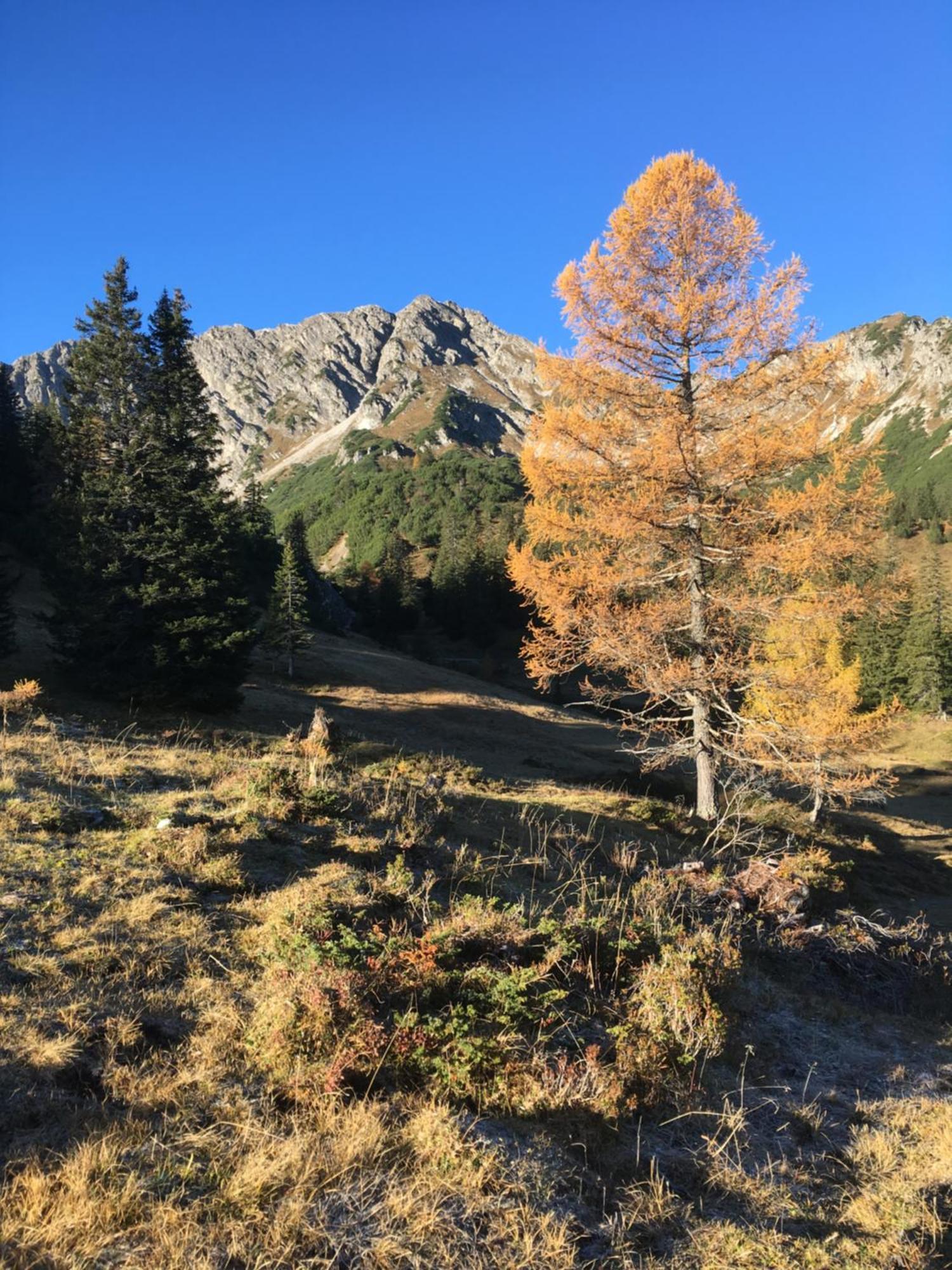 Appart Tramontana Daire Bürserberg Dış mekan fotoğraf